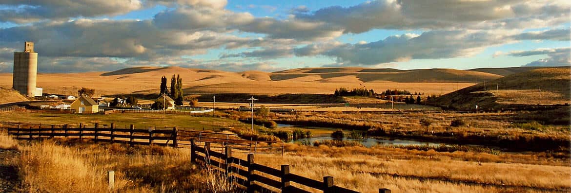 Ruggs Valley Wide Ruggs Valley Wide