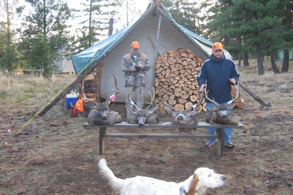 TentCamp2 TentCamp2