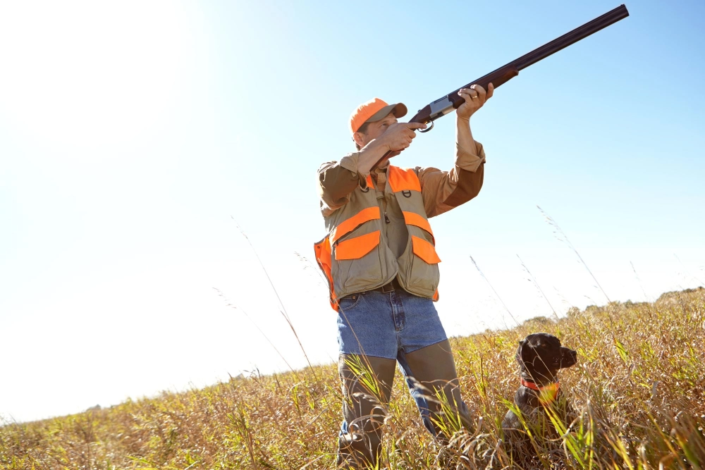 A person wearing orange hunting gear aims a shotgun in a grassy field, with a black dog sitting nearby.