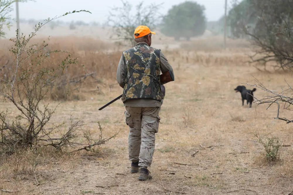 A person in camouflage clothing and an orange cap carries a rifle while walking on dry grassland with a black dog nearby.