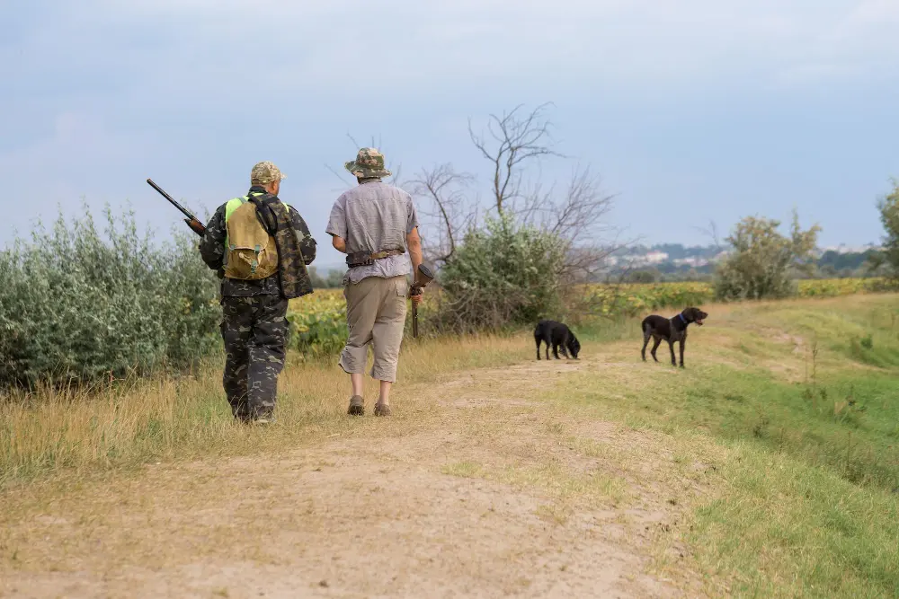 Two people walk along a dirt path in a grassy area, one carrying a rifle, accompanied by two black dogs. Shrubs and trees line the path.