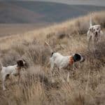 Person holding a shotgun outdoors.