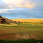 Vast green fields under cloudy sky