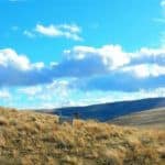 A view of Ruggs Ranch acreage