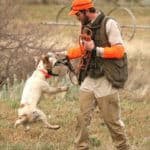 Hunter and dog in field