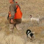 Hunter walking with two dogs
