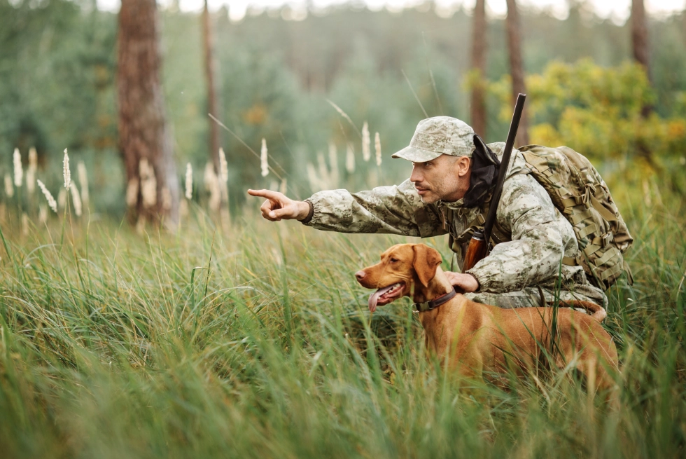 A hunter and dog work together