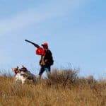 Hunter with dog in grassy field